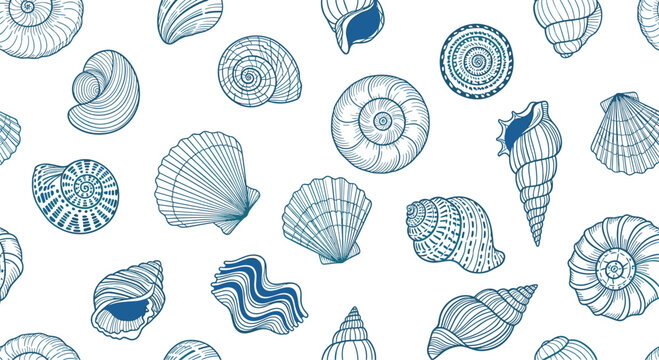 Detailed seamless pattern showcasing various seashells in blue outline and fill, ideal for coastal-themed designs and digital artwork.
