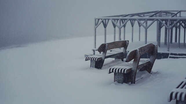 Benches by the sea