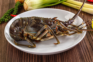 Raw fresh lobster for bowl