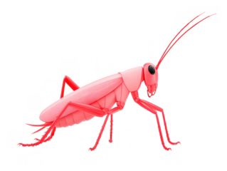 Pink cricket insect isolated on transparency background digital illustration side view detailed antennae six legs unique color surreal creative fantasy whimsical