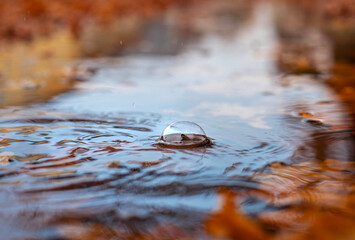 Close-up view of a water droplet creating ripples on a serene surface, surrounded by autumn leaves, capturing the essence of nature's tranquility and beauty in a reflective moment