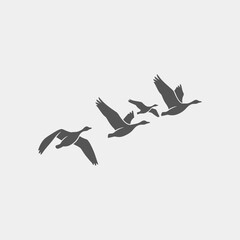 A flock of five birds is flying in formation with wings spread.