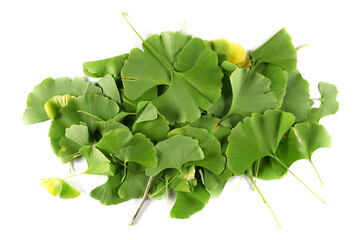Ginkgo biloba green leaves pile isolated on white, top view
