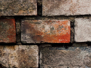 Detail of old bricks, red brick in center, partial adjacent brick, surrounding bricks white to light, aged mortar between bricks, rustic texture, warm subtle tones, artistic architectural composition.