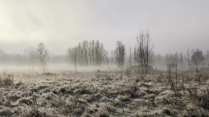 Misty autumn morning over calm river and distant trees - Powered by Adobe
