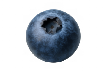 Blueberry fruit featuring a powdery bloom and textured skin, a close-up healthy organic berry isolated on a transparent background