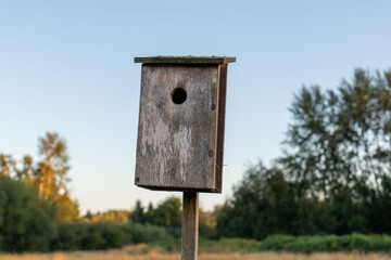 Bird house in park