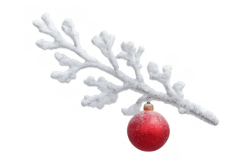 Frosted winter branch holding a red bauble, symbolizing holiday season cheer, isolated with transparent background