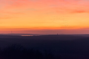 Serene Sunset Over Forested Landscape