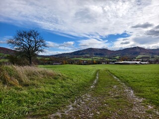 dirt road in the village of Kozlovice
