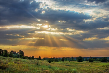Landscape of meadow with trees and light rays in the sky from the sun in the sky of clouds. Forest-steppe nature in Ukraine