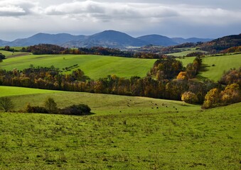 Obraz premium Hilly landscape with meadows and trees in autumn