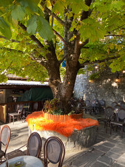 Charming outdoor café scene with lush tree and cozy seating under sunlit foliage