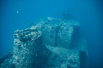 Sea Tiger Wreck