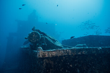 Sea Tiger Wreck