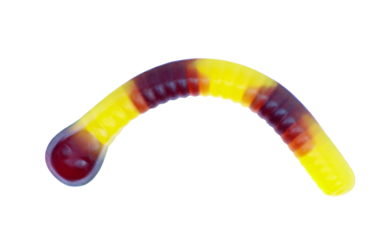 Colorful gummy worm isolated on a transparent background for design. Popular sweets for children.	