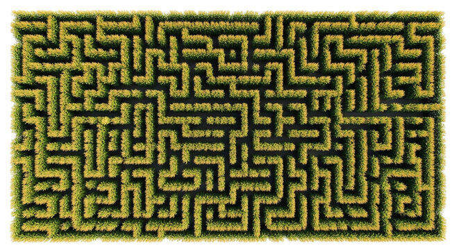 Aerial view of corn maze isolated on white and transparent background, PNG