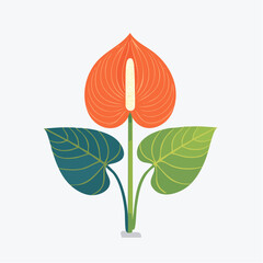 Obraz premium An Orange Anthurium Flower With Three Green Leaves On A White Background With Soft Lighting