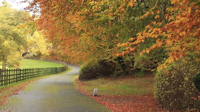 Winding road through countryside bordered by trees in autumn