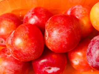 Fresh pure nectarine with glossy skin in a plastic basket on warm orange background. Agriculture product ready to eat and for sale. Food chain supply. Clean ripe organic product carefully selected.