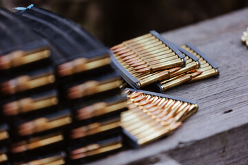 The ammunition prepared for loading.