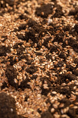 the details of the brown fertile soil with the addition of ripe flax seeds to obtain a new crop, a large number of small brown flax seeds scattered on brown soil in the field close up