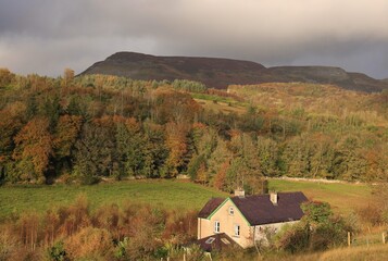 House near forest and mountains in rural County Sligo, Ireland in autumn