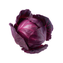 Obraz premium Vibrant red cabbage isolated on transparent background, a nutritious vegetable with deep purple leaves and a firm structure