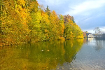 Auutmn foliage above the water in Črnava lake, Preddvor in Gorenjska, Slovenia