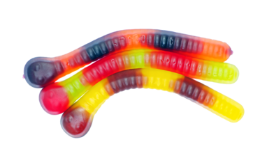 Bright colorful gummy worms isolated on a transparent background for design. Popular sweets for children.