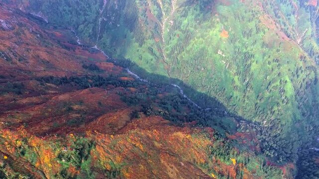 Drone aerial Rocky Mountains autumn colors with vibrant fall foliage forest. Overhead view of golden yellow red aspen groves and colorful shrubs in Rocky Mountains, Rockies.