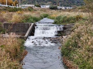 Obraz premium A small stream of water flows down a hillside. The water is clear and calm, and the surrounding area is covered in tall grass. The scene is peaceful and serene