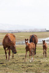 小春日和のなか、親子水いらず