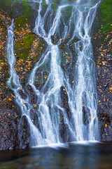 waterfall in autumn forest