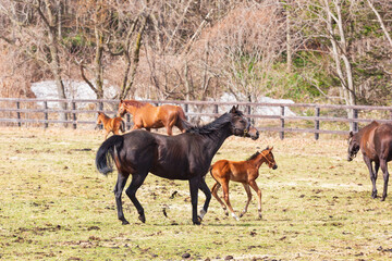 小春日和のなか、親子水いらず