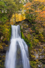 waterfall in autumn forest