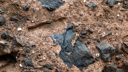 Earthy soil texture with dark rock fragments