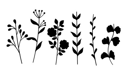 Silhouette Plant and Leaves and Flower Hand Drawn Doodle Set Botanical Element. Vector Illustration
