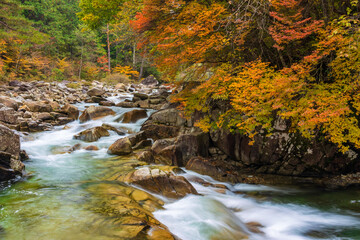 waterfall in autumn forest