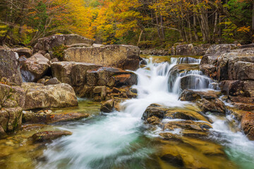 waterfall in autumn forest