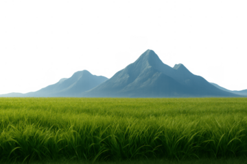 Green field of grass with blue mountains on horizon, a natural landscape environment on transparent background