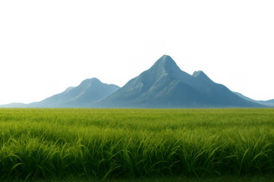 Green field of grass with blue mountains on horizon, a natural landscape environment on transparent background