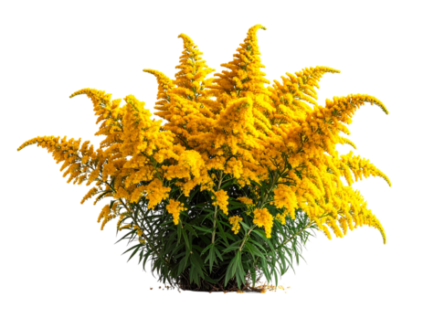Bright yellow flower arrangement isolated on a transparent background - Powered by Adobe
