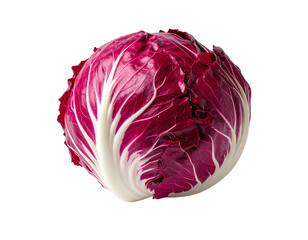 Fresh radicchio vegetable on transparent background