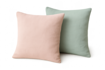Pair of pink and mint green cushions
