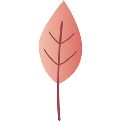 Simple Rose Colored Leaf Illustration with Transparent Background and Dark Stem and Veins Detailed Botanical Element for Natural Designs