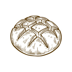 Sourdough bread hand drawn illustration. Sourdough bread vector line art