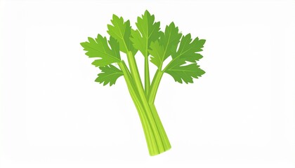Celery Vegetable flat vector illustration 