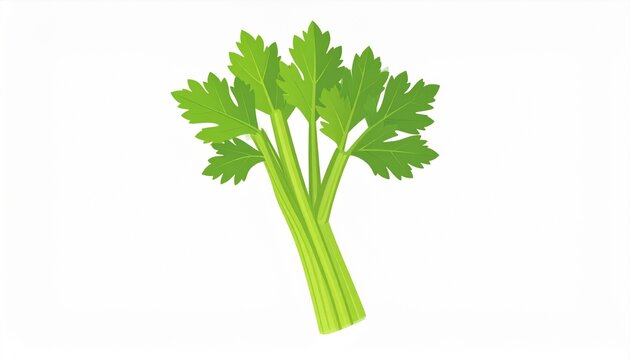 Celery Vegetable flat vector illustration 