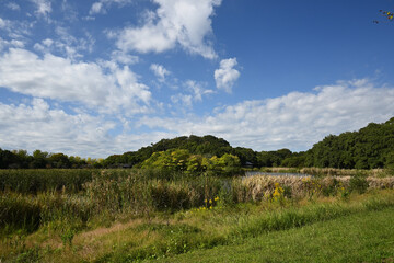 千駄堀池、21世紀の森と広場にて、千葉県松戸市